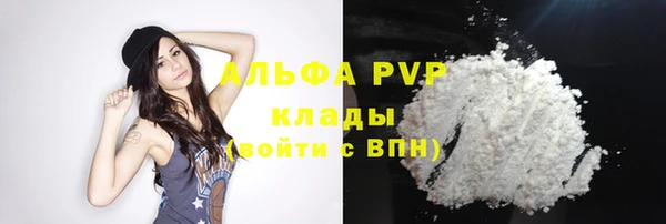 гашик Арсеньев