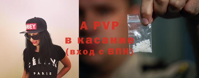 гашик Арсеньев