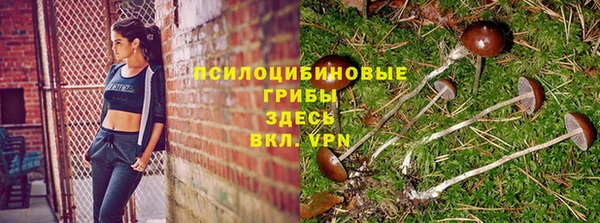 ешки Сатка