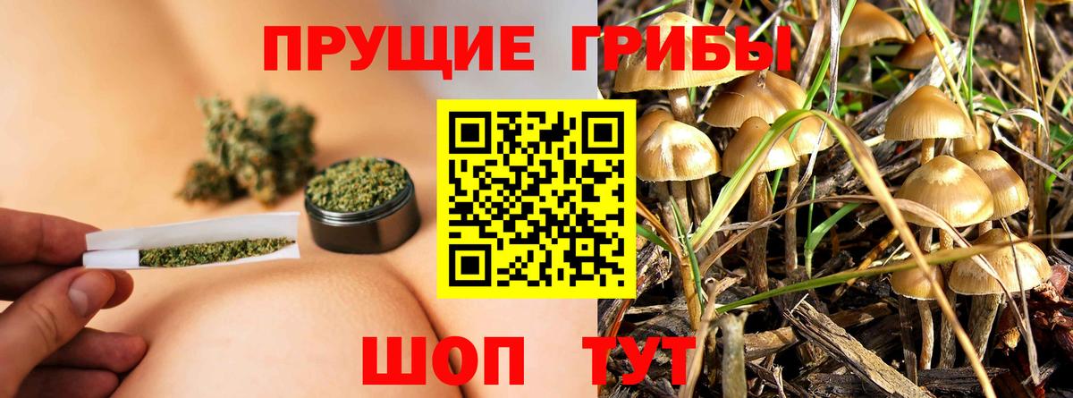 Чернушка  Галлюциногенные грибы мухоморы  Галлюциногенные грибы мухоморы  Вход с VPN 